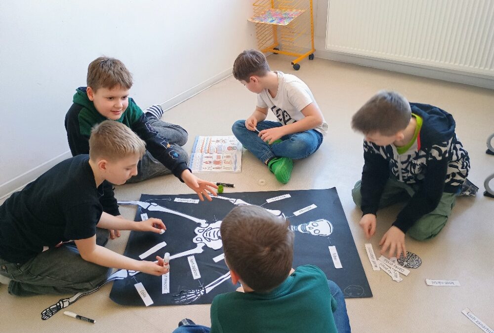 5. D: Kosterní soustava