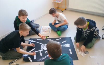 5. D: Kosterní soustava