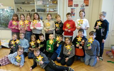 3. B: Vv – Narcis