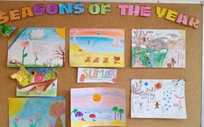 5. D: Seasons of the year