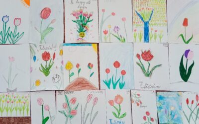 4. A: Tulipány pro nemocnici