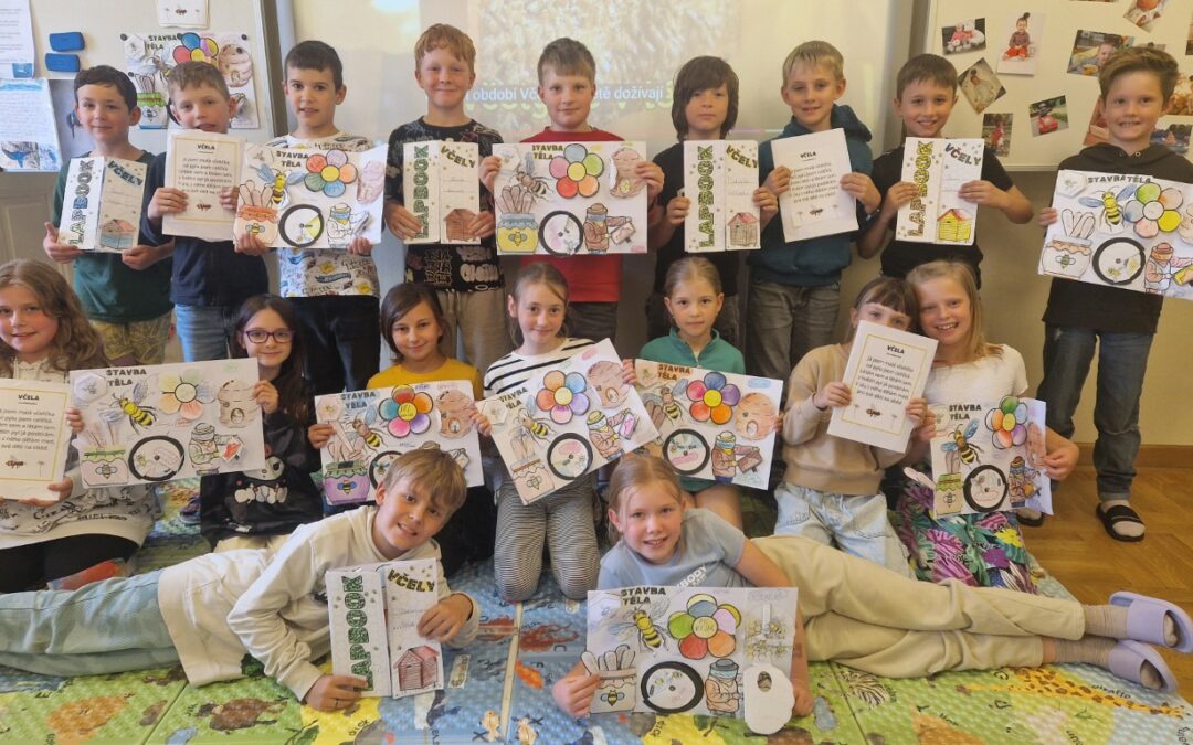 3. D: Projekt včely