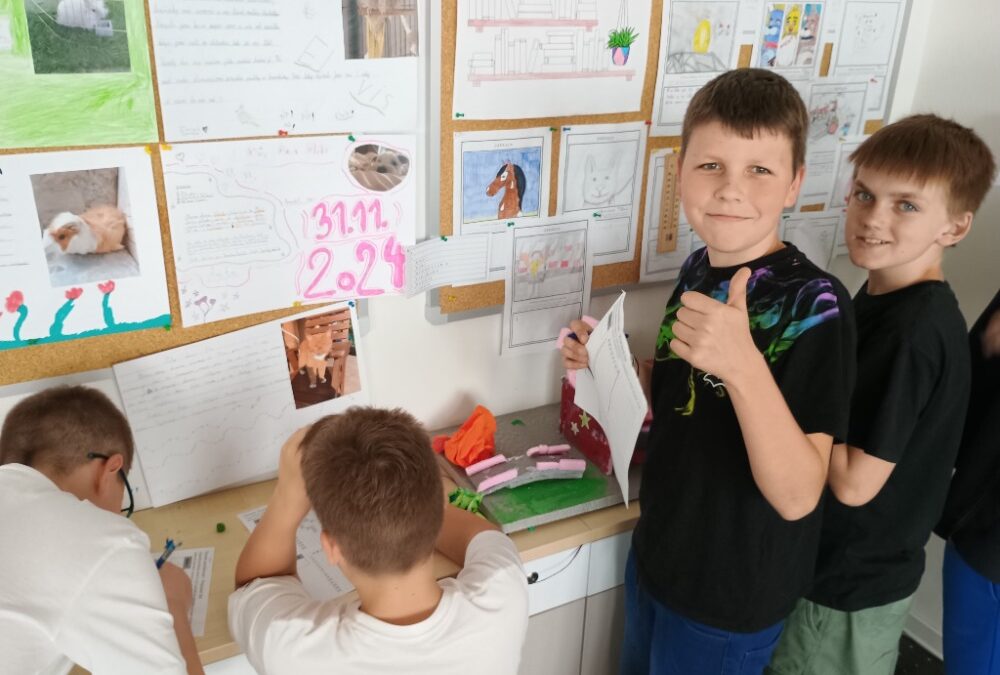 5. D: Osová souměrnost