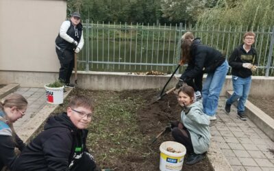 Z hlíny až na talíř: Podzimní sklizeň ve světě práce