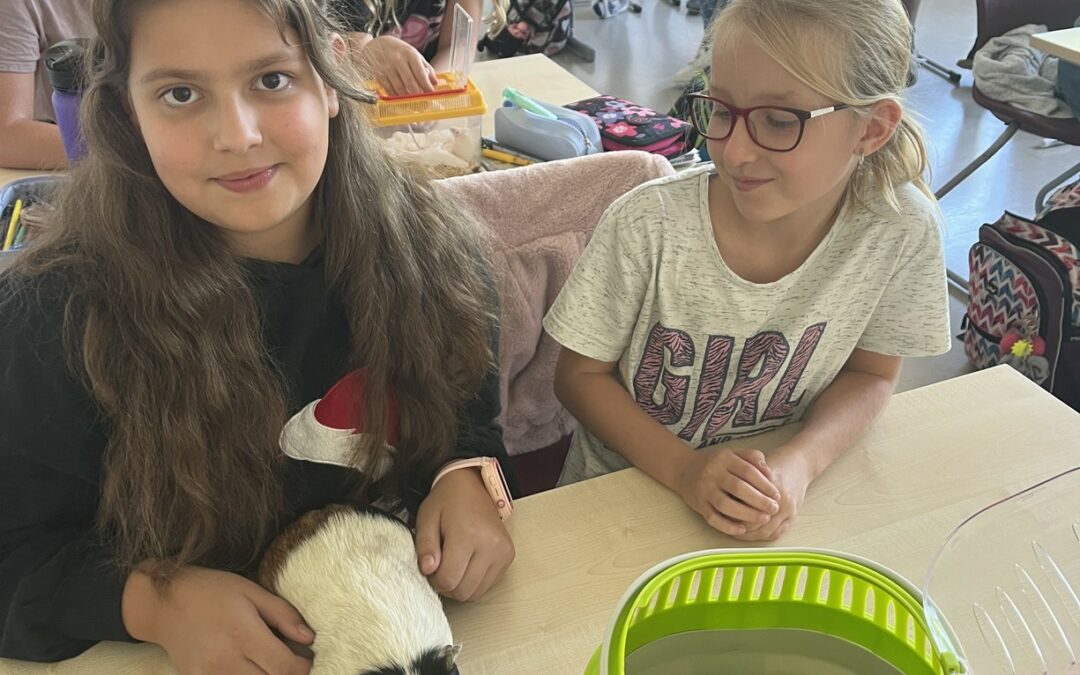 5. A: Pondělí s mazlíčkem