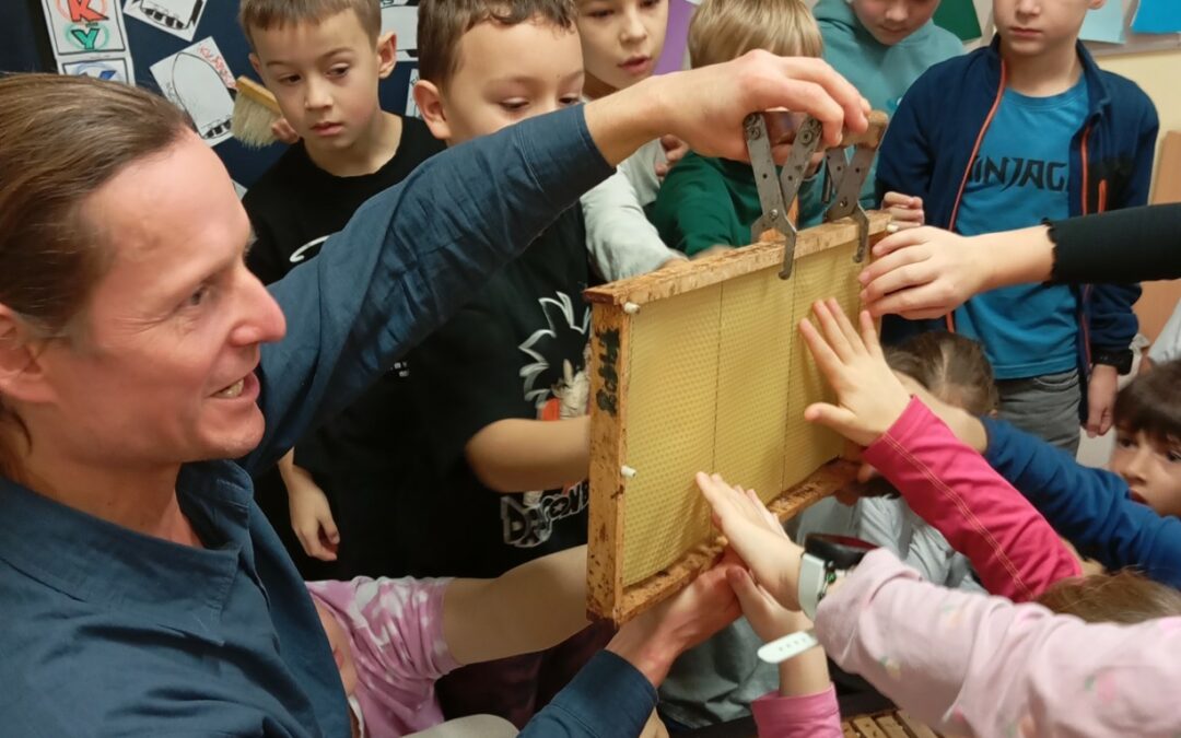 2. B: Včely včelky včeličky