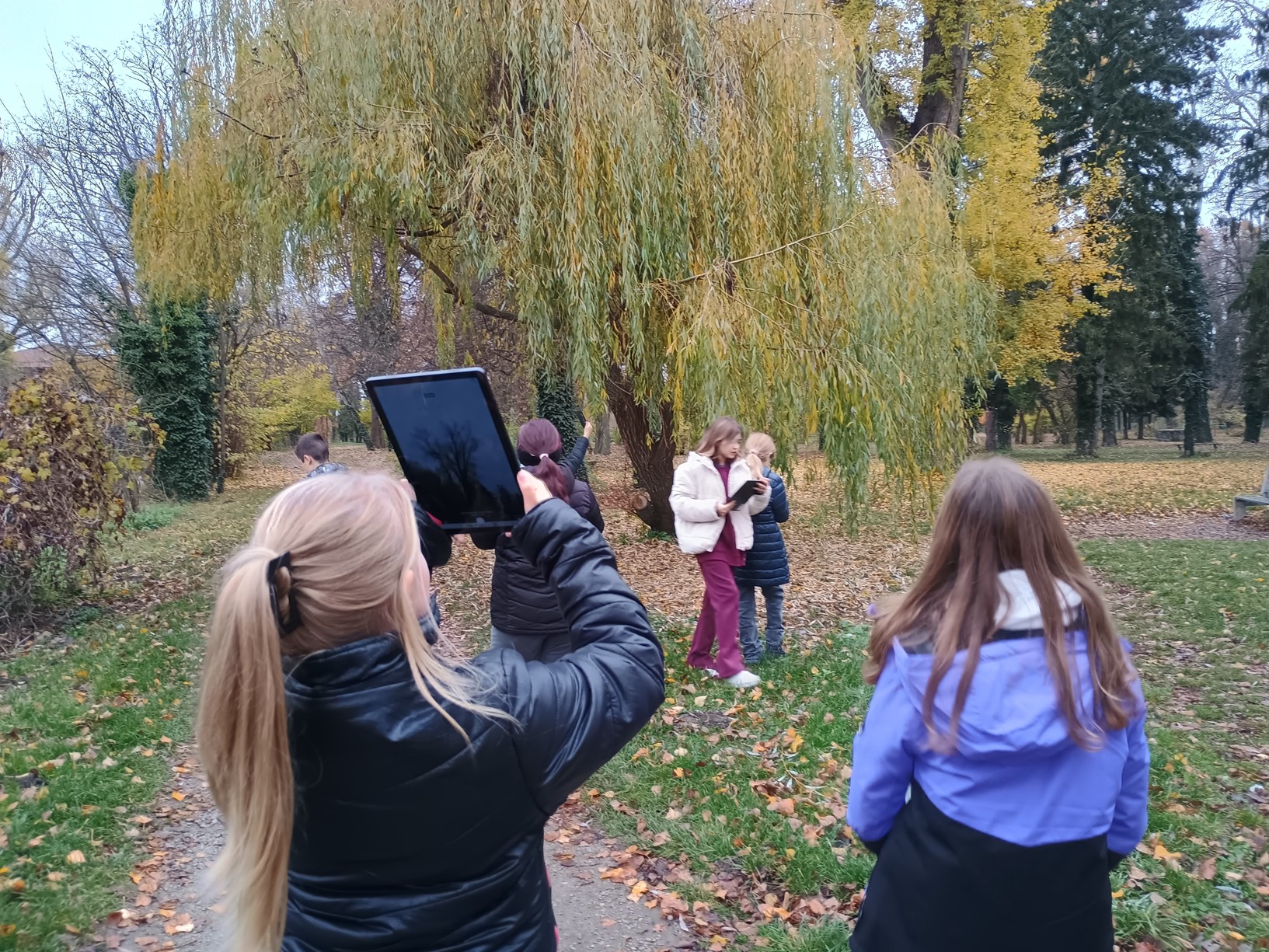 IMG_20251114_114739411_HDR