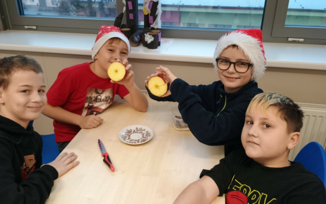 4. E: Vánoční projekt