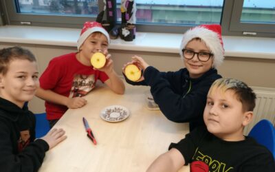 4. E: Vánoční projekt