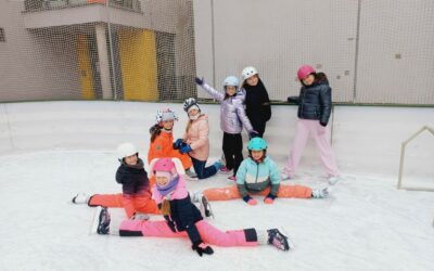 Bruslím, bruslíš, bruslíme se 4.D