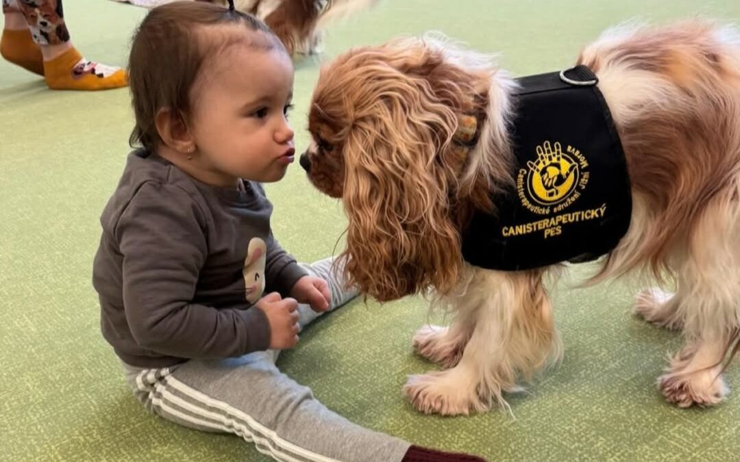 Canisterapie v dětské skupině Smolín