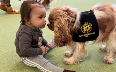 Canisterapie v dětské skupině Smolín