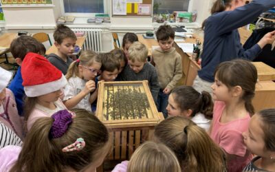 2. A: Projekt – Včely