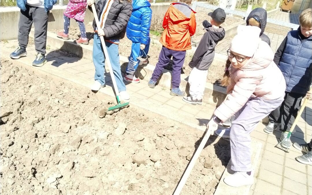 Od semínka po úrodu – záhonky školní družiny