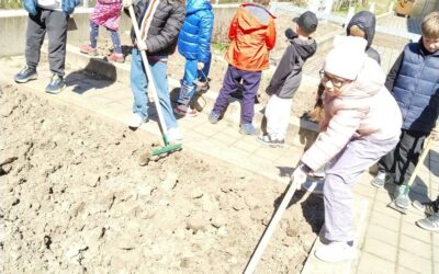 Od semínka po úrodu – záhonky školní družiny