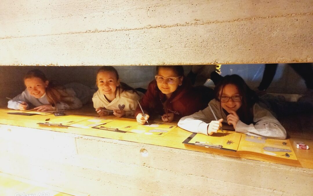 Exkurze do Archeoparku v Pavlově a výšlap na Sirotčí hrádek