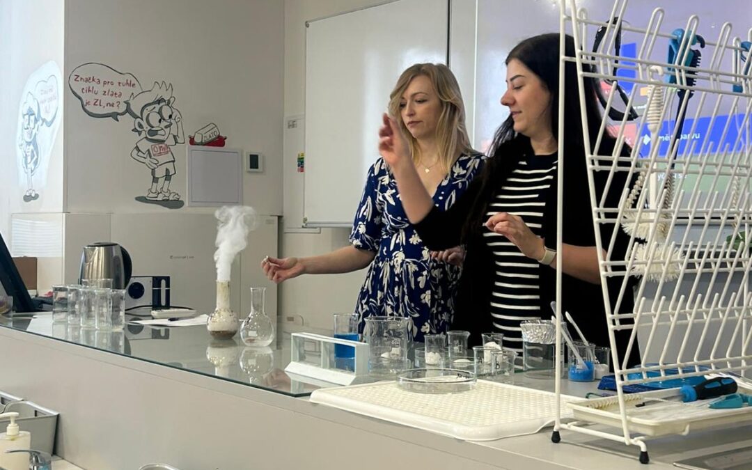 Vzdělávací konference v Pohořelicích vol. 5